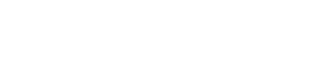 LOGO 2FIVE